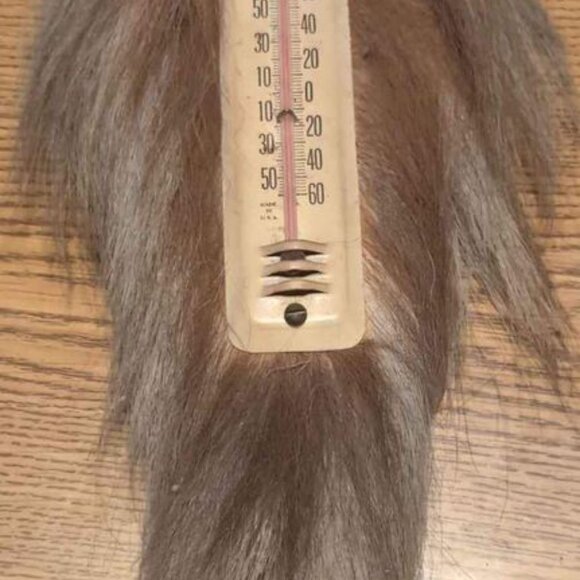 Vintage Rustic Indoor Thermometer - Picture 3 of 7